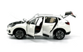 1:18 Honda Acura CDX Alloy Diecast Model Car Collectible – Official Dealer Edition - Dadai Models